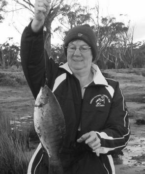 Heather Cameron (the author’s future mother-in-law) with a chunky 1kg luderick caught off the bank in a foot of water. The dirty water has encouraged the fish to come in close and land-based angling in Sydenham Inlet is a productive option.